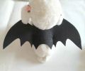 Bat Costume Pet Dog Bat Wings Cat Bat Wings Bat Dog Costume Pet Costume Cat Bat Wings for Party/Halloween